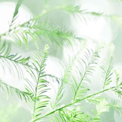 异域争霸变态版下载